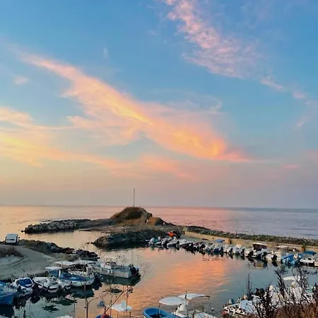 Oasis Park * 洛泽内茨