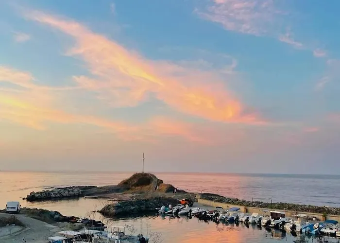 Oasis Park * לוזנטס