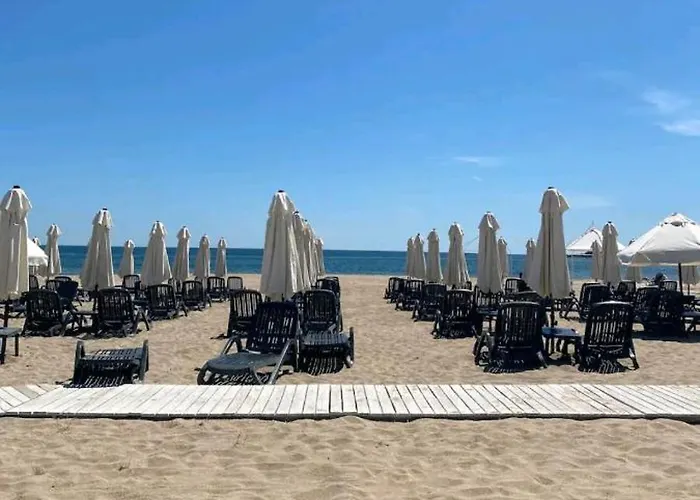 Oasis Park לוזנטס